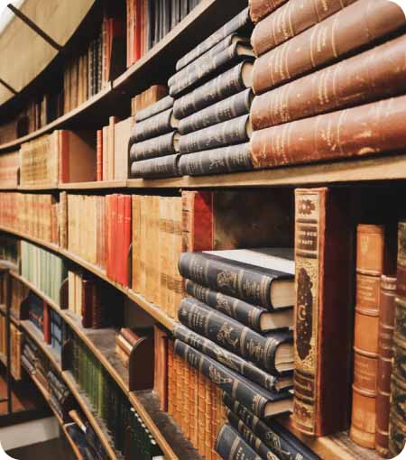 Public Safety and Legal Studies