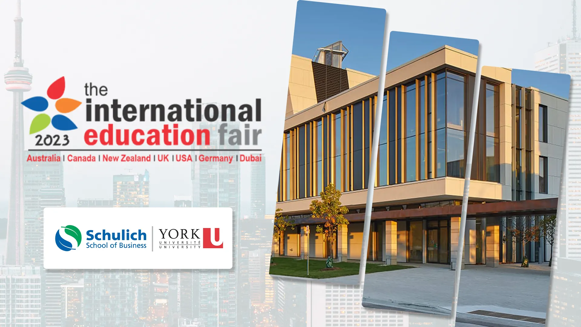 schulich school of business