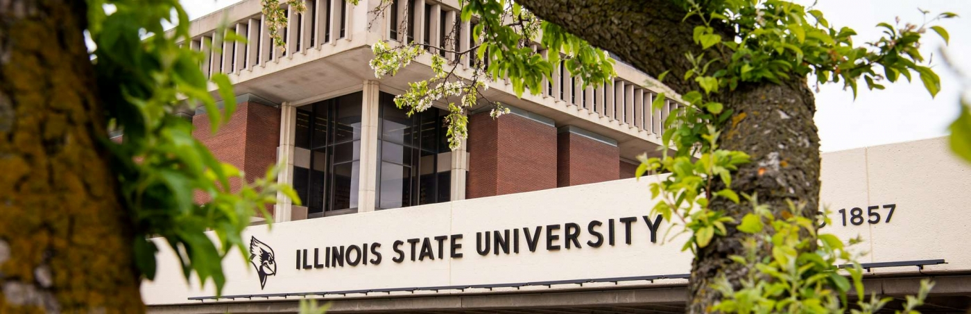 INTO Group - Illinois State University