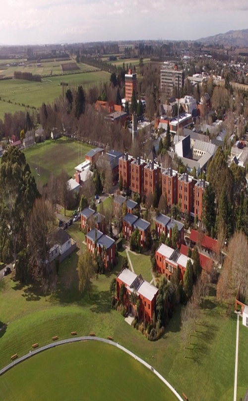 New Zealand Institute of Business & Technology (NZIBT)