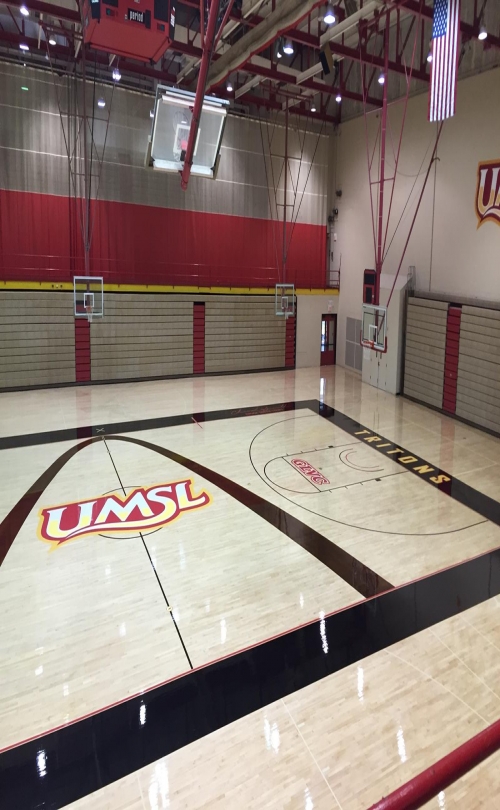 MSM Group - University of Missouri-St. Louis