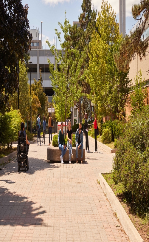 University of York