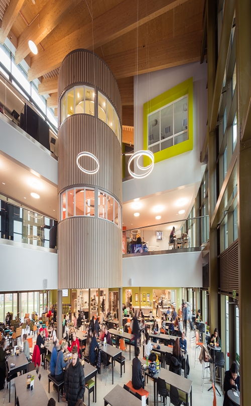 University of York