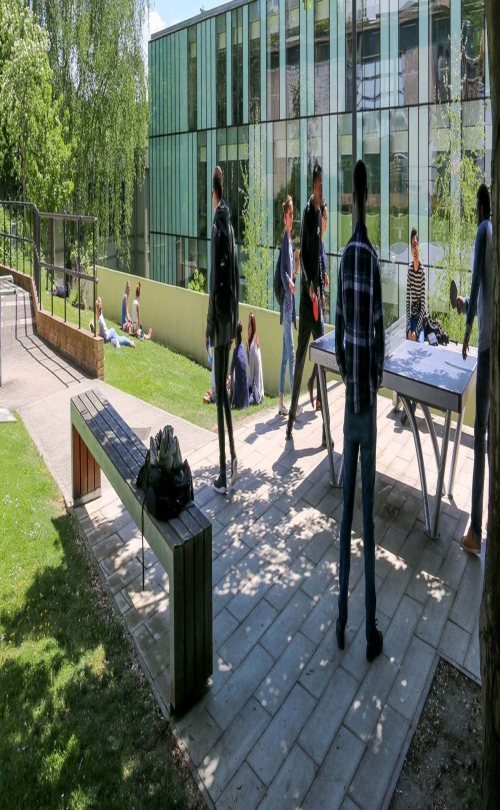 University of Surrey