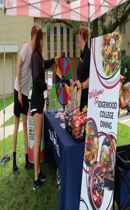 MSM Group - Edgewood College