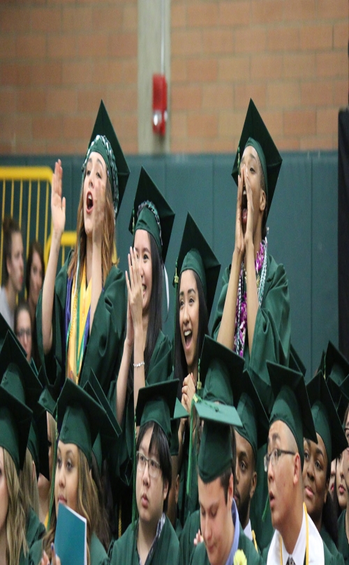 MSM Group - Shoreline Community College