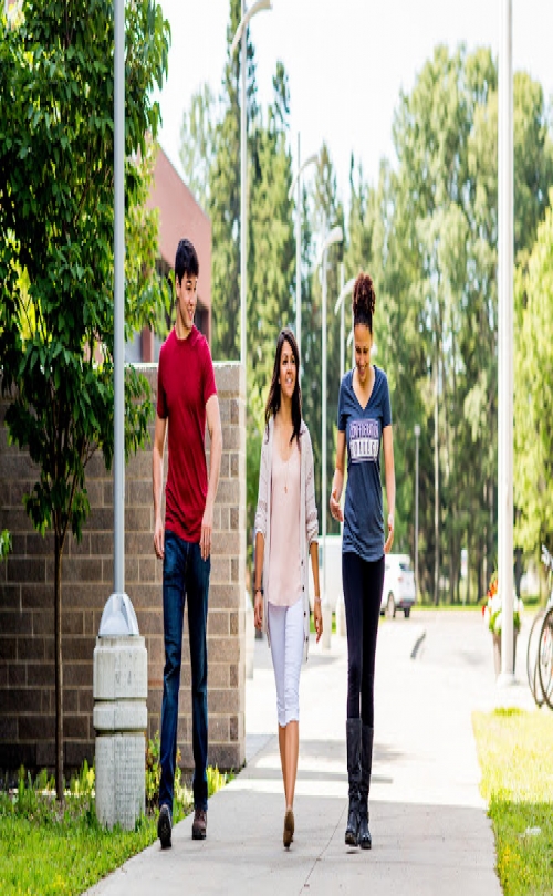 Confederation College - Dryden Campus