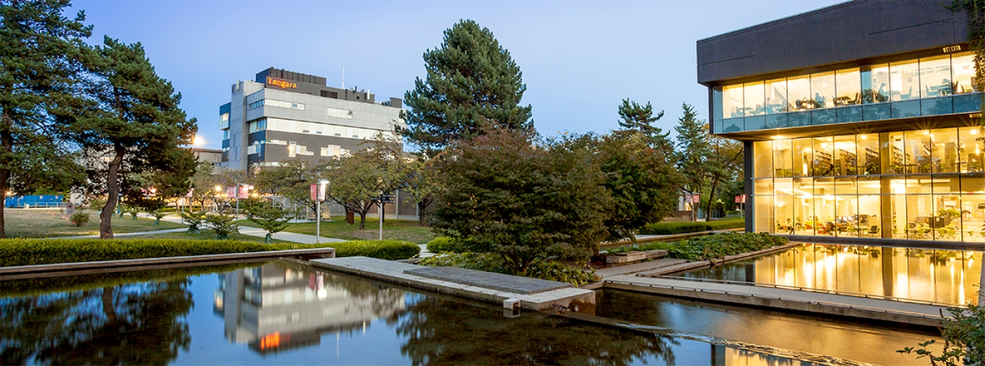 university