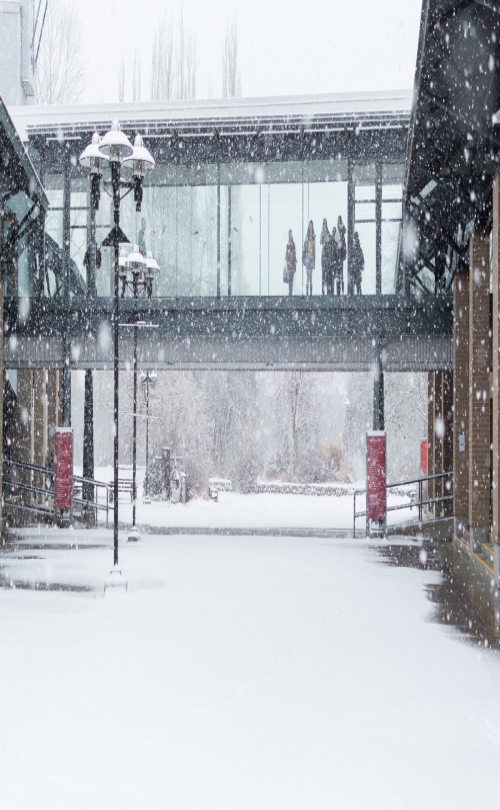 Kwantlen Polytechnic University - Langley Campus