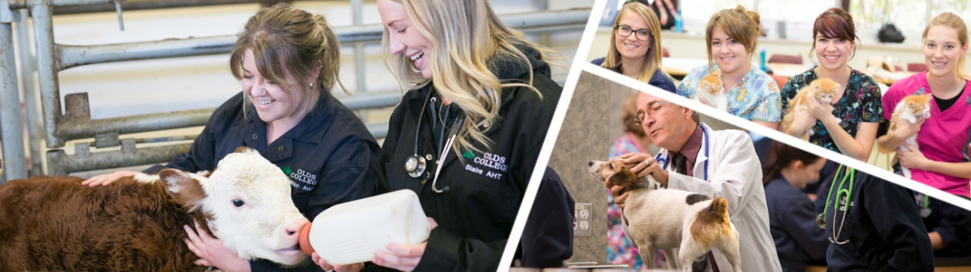 Olds College