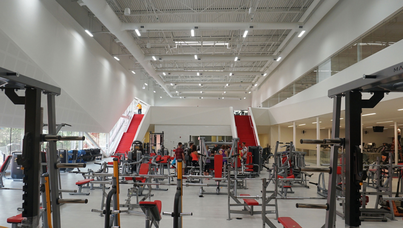 University of Guelph-Humber