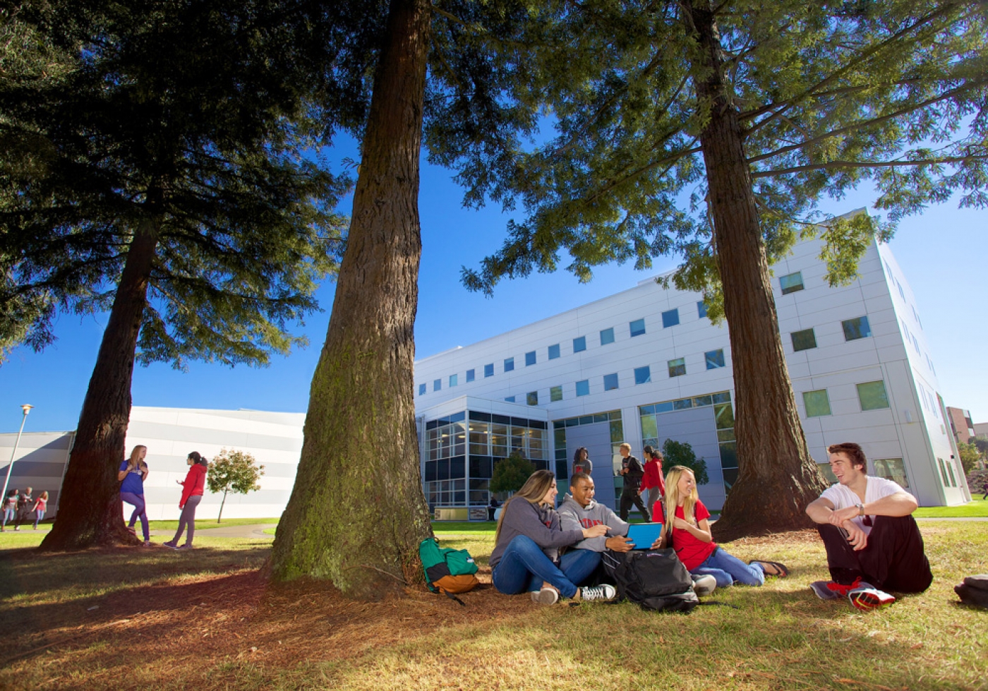 California State University - East Bay