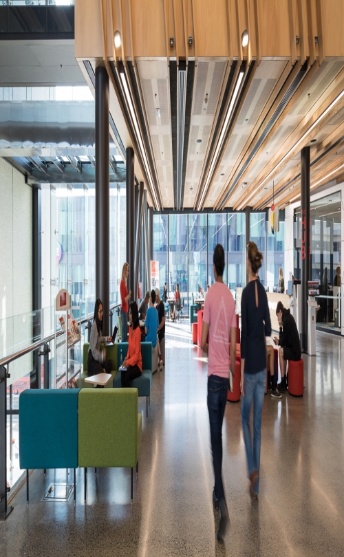 The University of Waikato - Tauranga Campus