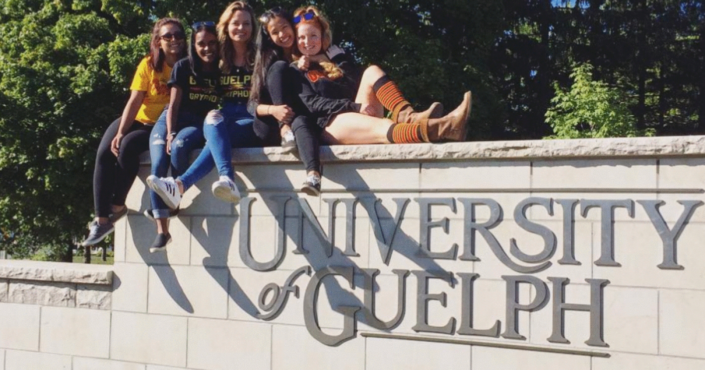 University of Guelph