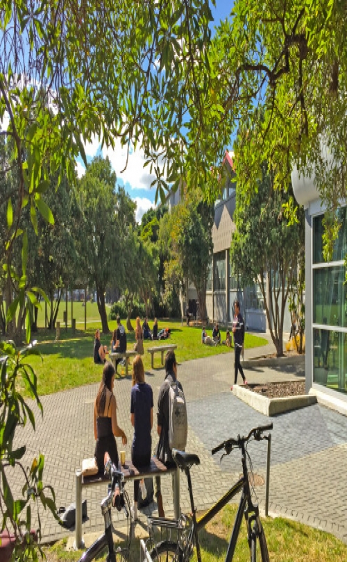 Wellington Institute of Technology (WelTec) - Petone Campus