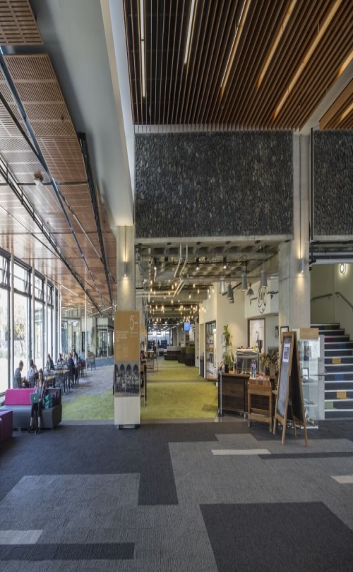 Otago Polytechnic - Dunedin Campus