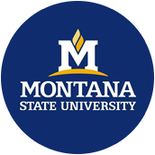 Montana State University - Bozeman