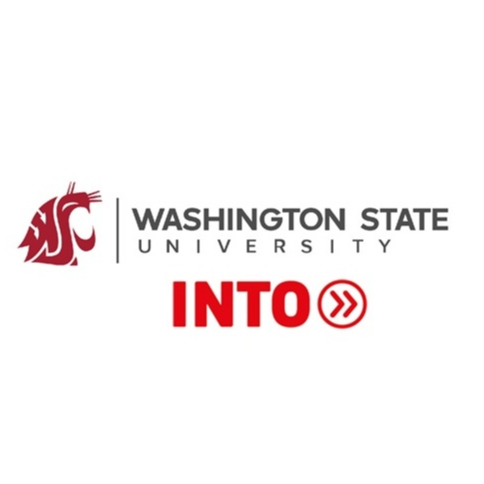 INTO Group - Washington State University logo
