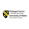 1743682598-wales-trinity-logo.webp