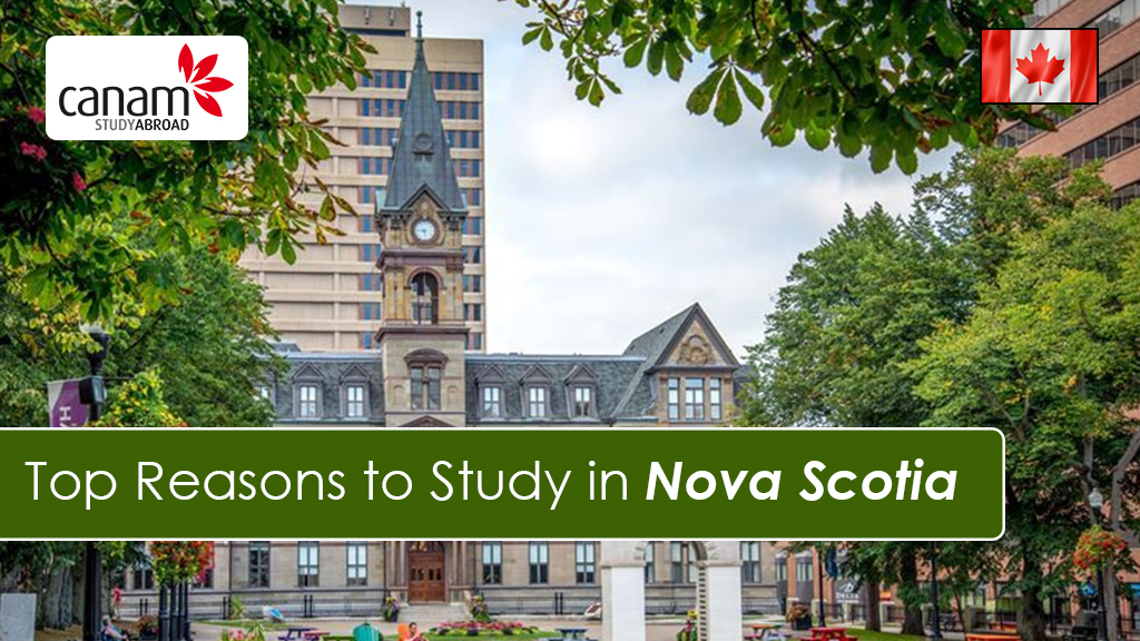 Top Reasons to Study in Nova Scotia