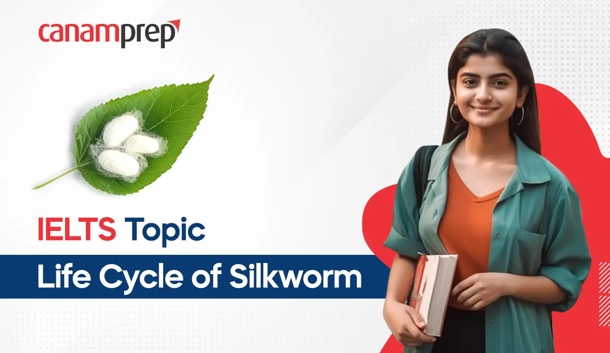 IELTS Topic : Life Cycle of Silkworm