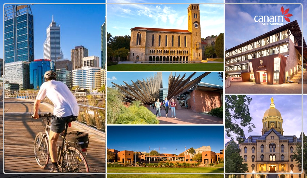 Amazing Universities of Perth for International Education