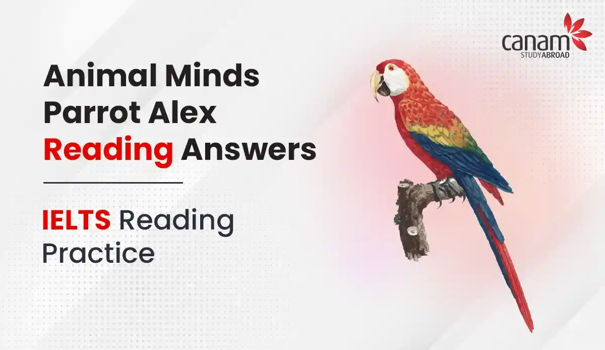 Animal Minds Parrot Alex Reading Answers - IELTS Reading Practice