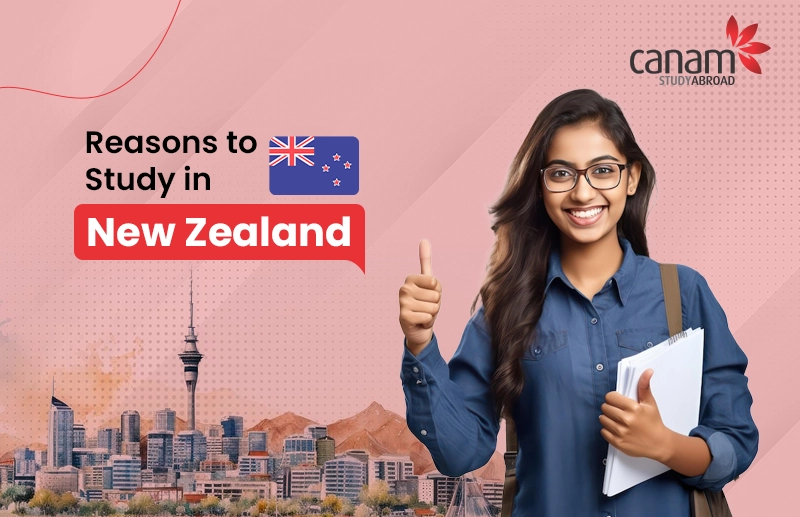 Reasons to Study in New Zealand