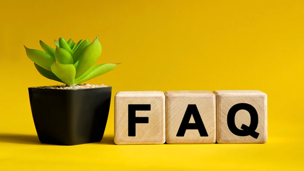 Frequently Asked Questions about Study in USA